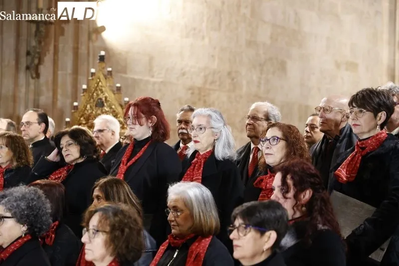 Concierto ‘El Miserere’ de Doyagüe en la Catedral de Salamanca | FOTOS: David Sañudo 