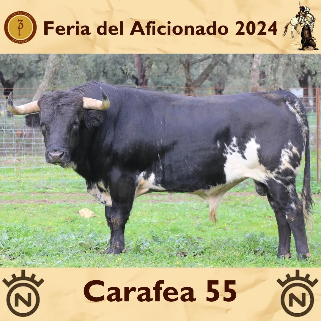 Foto 5 - As&iacute; son los toros de Dolores Aguirre que lidiar&aacute; Dami&aacute;n Casta&ntilde;o este domingo (FOTOS)