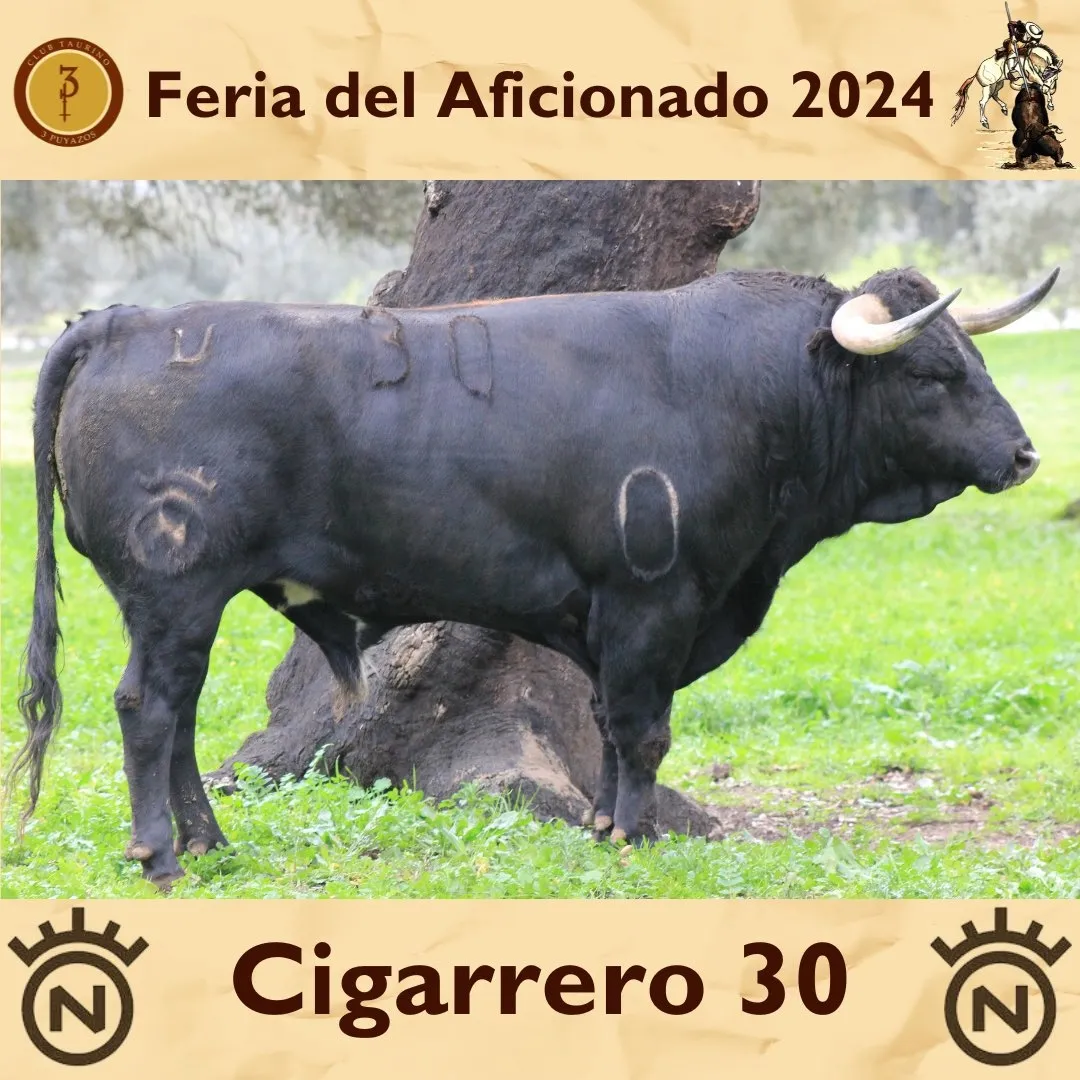 Foto 6 - As&iacute; son los toros de Dolores Aguirre que lidiar&aacute; Dami&aacute;n Casta&ntilde;o este domingo (FOTOS)