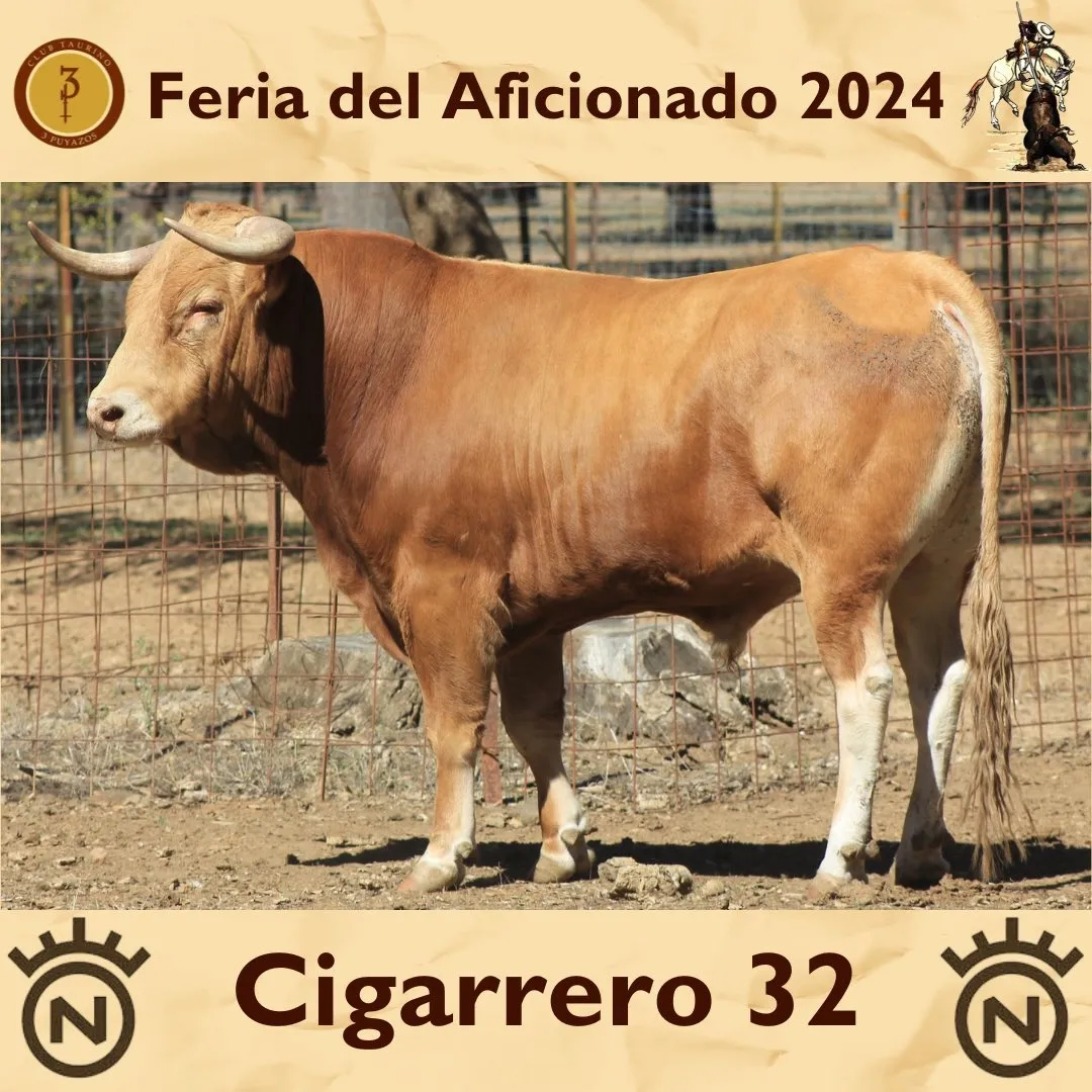 Foto 7 - As&iacute; son los toros de Dolores Aguirre que lidiar&aacute; Dami&aacute;n Casta&ntilde;o este domingo (FOTOS)