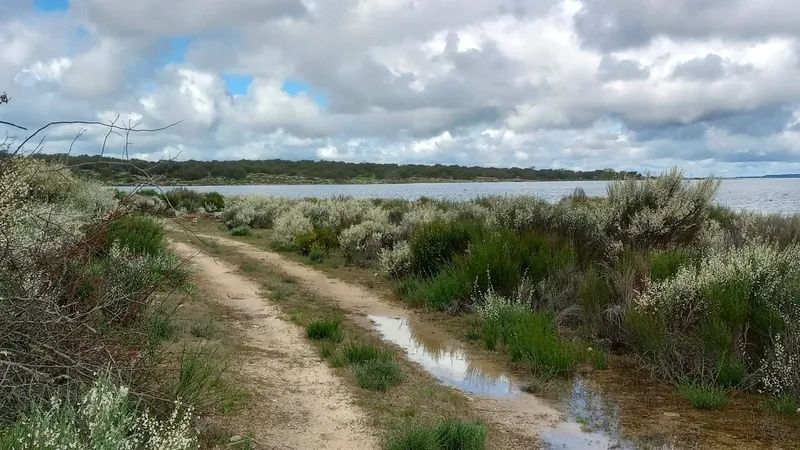 Este año los niveles del embalse están muy cercanos al máximo de su capacidad, lo que varía el paisaje de la marcha conforme a las últimas ediciones 