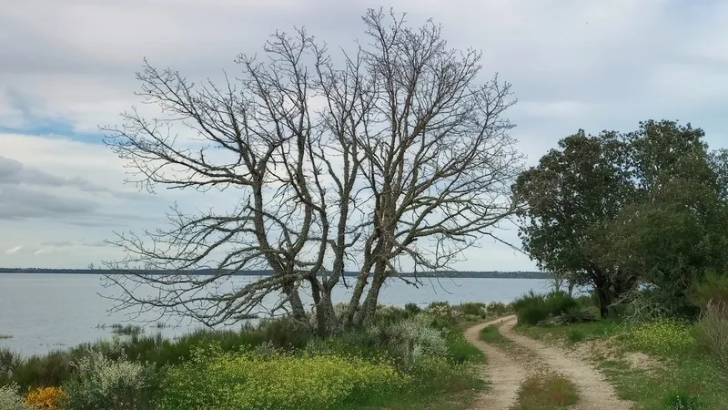 Este año los niveles del embalse están muy cercanos al máximo de su capacidad, lo que varía el paisaje de la marcha conforme a las últimas ediciones 
