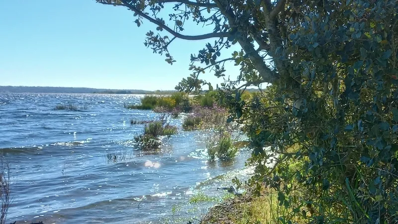 Este año los niveles del embalse están muy cercanos al máximo de su capacidad, lo que varía el paisaje de la marcha conforme a las últimas ediciones 