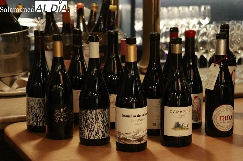 Landscape Wine Night. Fotos: Raúl González Riego. 