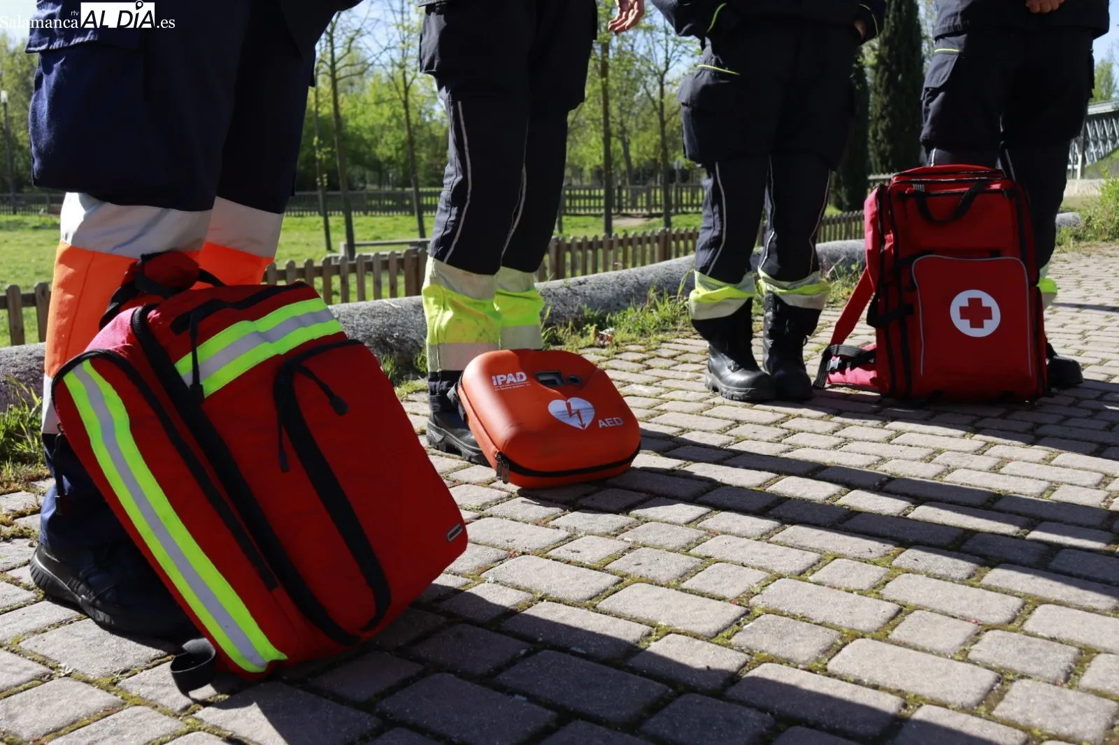 Actividad de voluntariado ambiental junto en el Parque de los Jerónimos por los alumnos del Calasanz. Fotos: Raúl González Riego