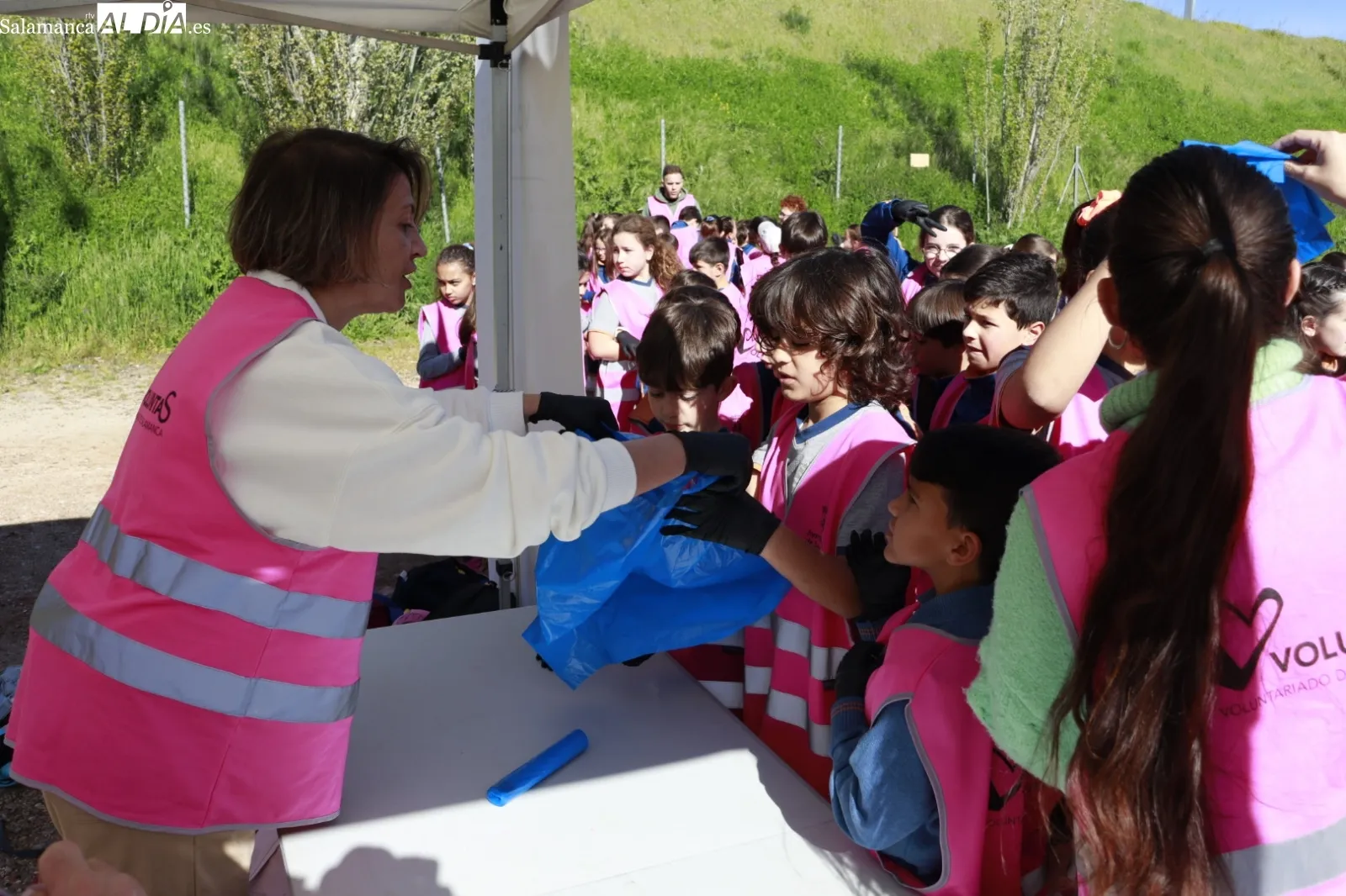 Actividad de voluntariado ambiental junto en el Parque de los Jerónimos por los alumnos del Calasanz. Fotos: Raúl González Riego