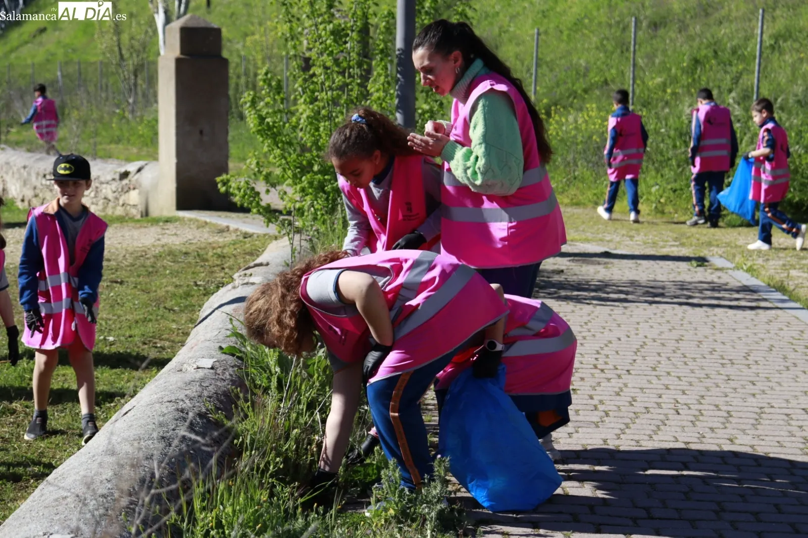 Actividad de voluntariado ambiental junto en el Parque de los Jerónimos por los alumnos del Calasanz. Fotos: Raúl González Riego