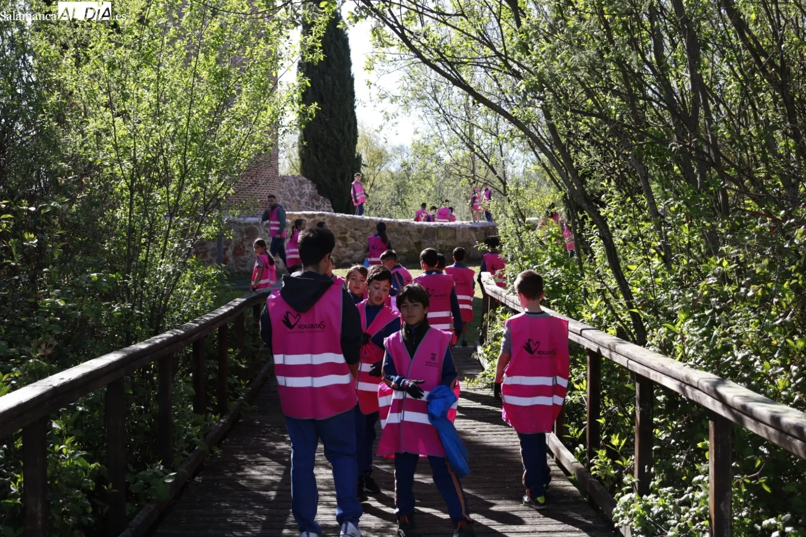 Actividad de voluntariado ambiental junto en el Parque de los Jerónimos por los alumnos del Calasanz. Fotos: Raúl González Riego