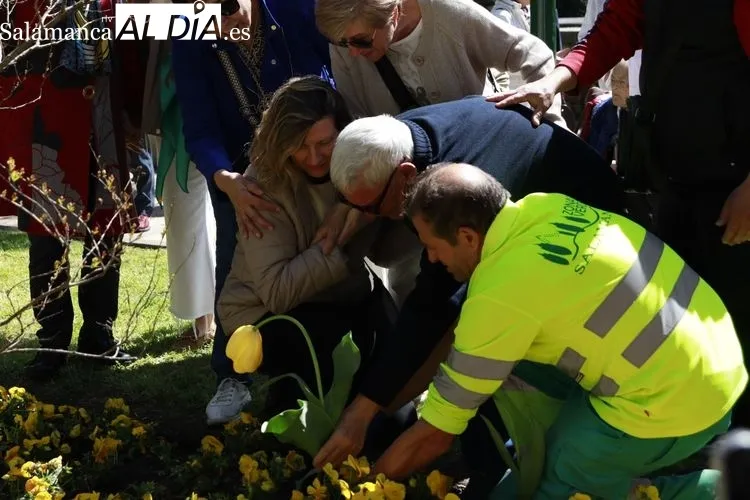 Plantación tulipanes por el Parkinson | FOTOS: Raúl González Riego 