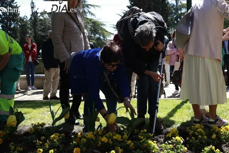 Plantación tulipanes por el Parkinson | FOTOS: Raúl González Riego 