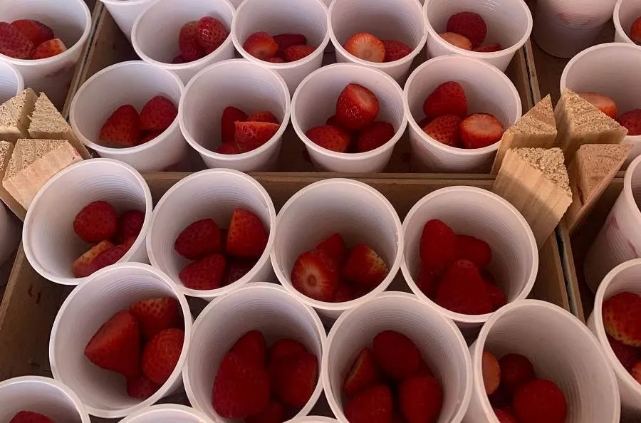 Foto 4 - La AMPA del Colegio Mir&oacute;briga reparte un almuerzo saludable a base de fresas y mandarinas