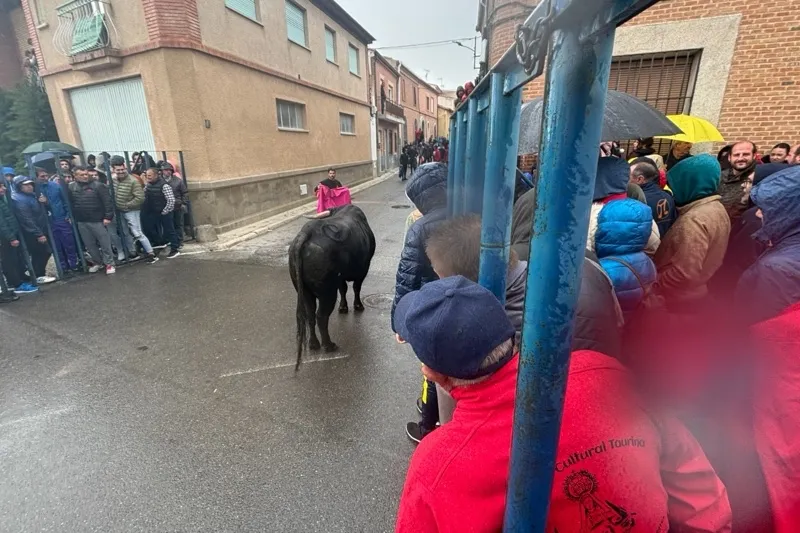 Foto 7 - Cantalapiedra se llena de aficionados para vivir el II Toro de la Misericordia