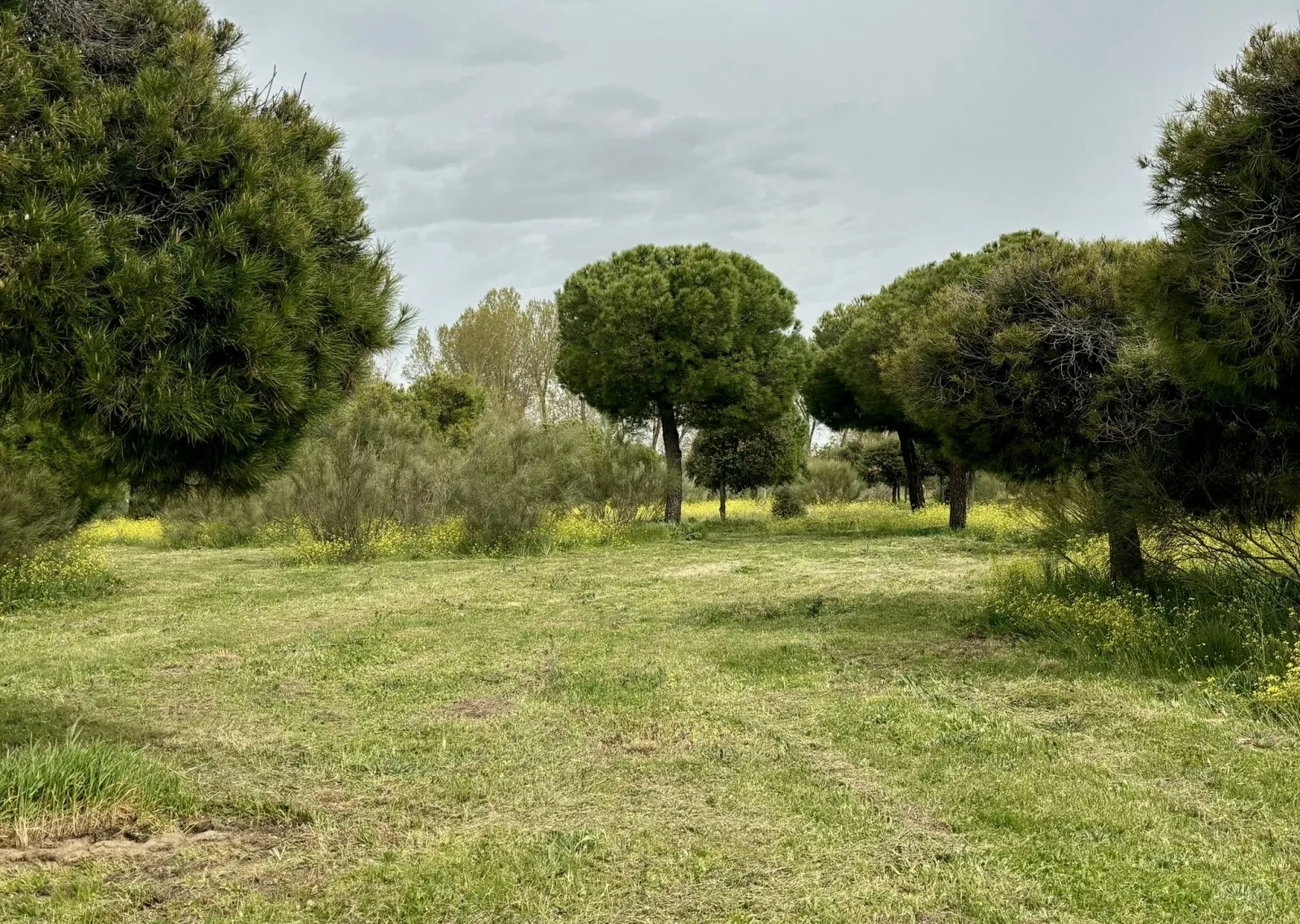 Foto 4 - El parque El Inestal, a punto para vivir el esperado Lunes de Aguas