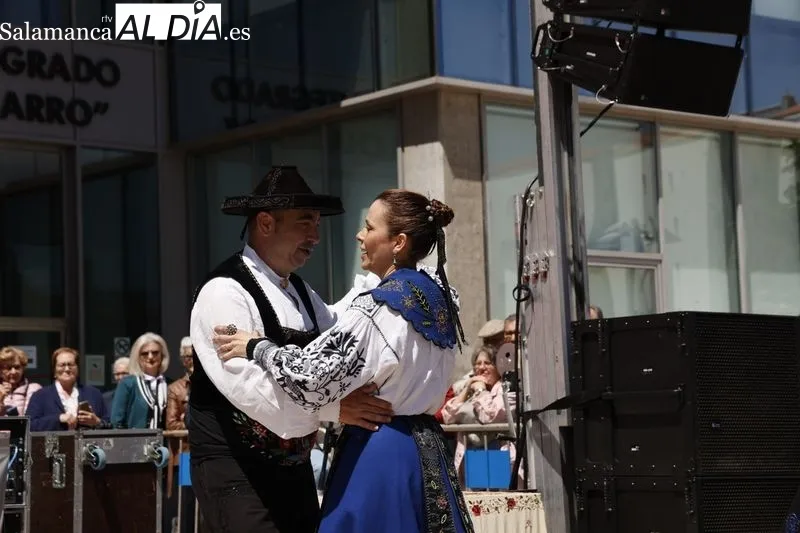 Bailes regionales por el Día de Castilla y León en la plaza de la Concordia. Fotos: David Sañudo.