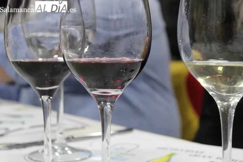 Cata de vino en el Restaurante La Cala. Foto: Federica Pérez
