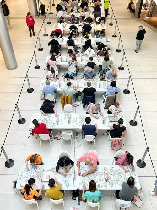 Foto 2 - El Tormes acoge la tercera edici&oacute;n del Concurso de Puzzles