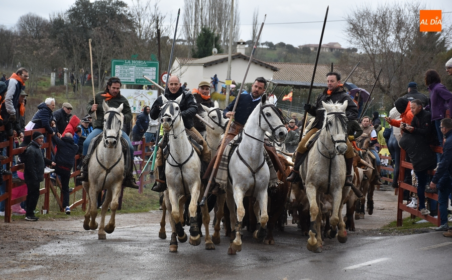 El Carnaval del Toro 2024 costó 425.125€ y dejó unos ingresos de 117.000€