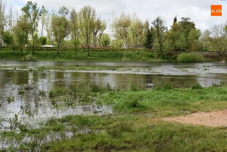 Foto 4 - &Uacute;ltimos retoques en el entorno del r&iacute;o para un incierto Lunes de Aguas debido a Pierrick