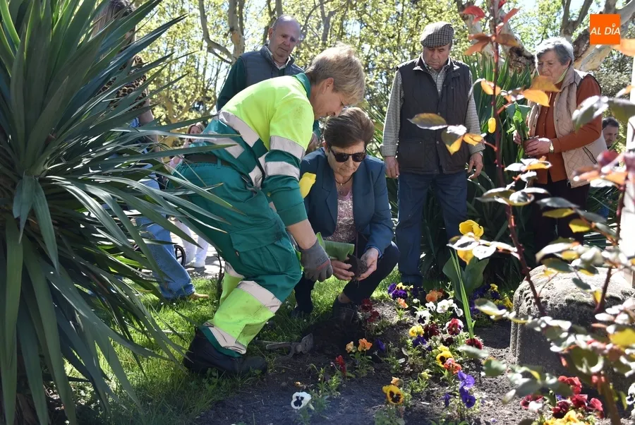 Foto 9 - Afectados de Parkinson plantan tulipanes en La Glorieta con motivo del D&iacute;a Mundial de la enfermedad
