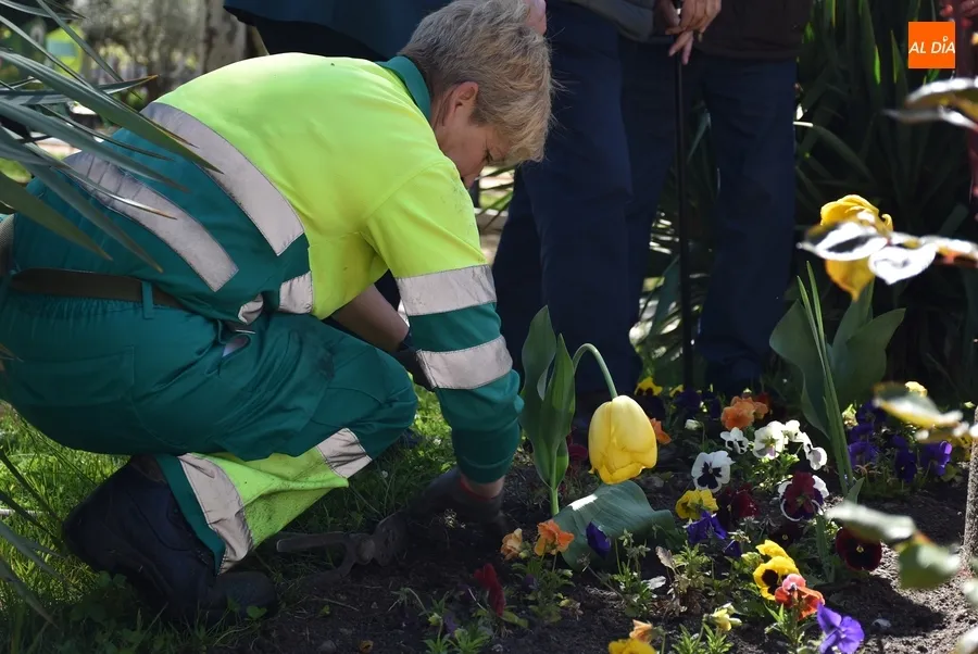 Foto 10 - Afectados de Parkinson plantan tulipanes en La Glorieta con motivo del D&iacute;a Mundial de la enfermedad