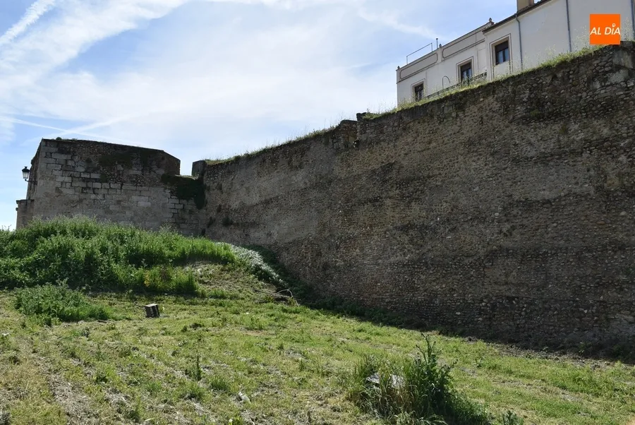 Foto 3 - En marcha una nueva ronda de limpieza de los paramentos de la muralla