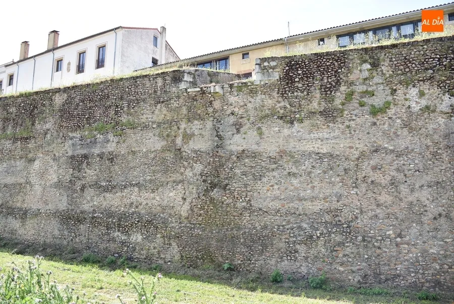 Foto 4 - En marcha una nueva ronda de limpieza de los paramentos de la muralla