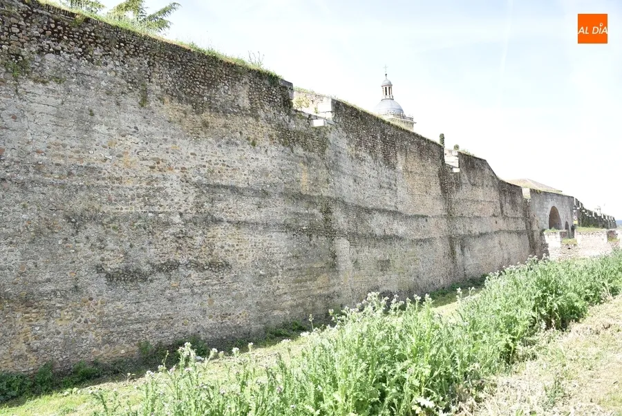 Foto 5 - En marcha una nueva ronda de limpieza de los paramentos de la muralla