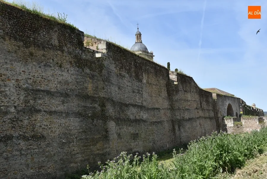 Foto 6 - En marcha una nueva ronda de limpieza de los paramentos de la muralla