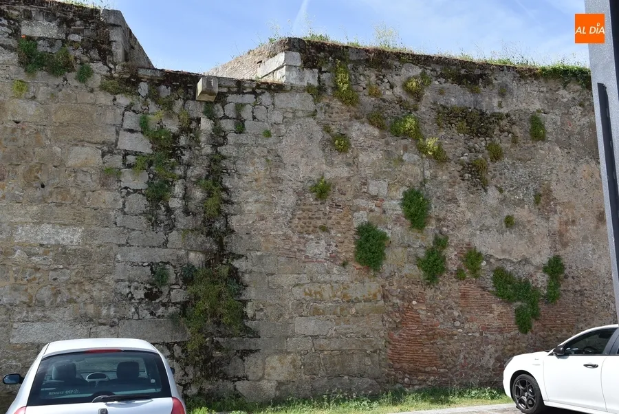 Foto 7 - En marcha una nueva ronda de limpieza de los paramentos de la muralla