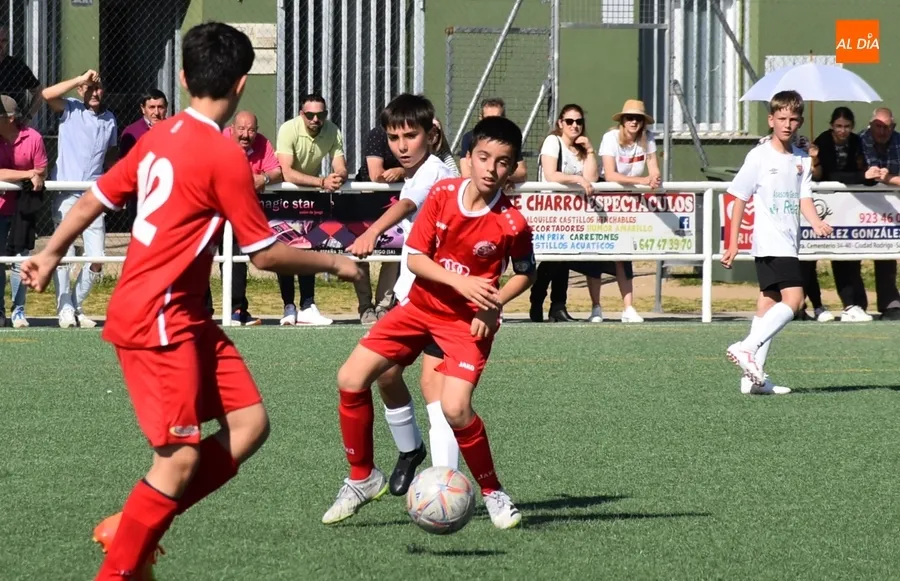 Foto 4 - El Alev&iacute;n B del Ciudad Rodrigo se impone al l&iacute;der de su categor&iacute;a con una fulgurante puesta en escena