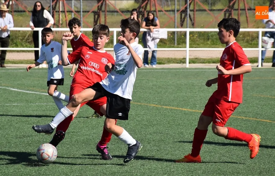 Foto 10 - El Alev&iacute;n B del Ciudad Rodrigo se impone al l&iacute;der de su categor&iacute;a con una fulgurante puesta en escena