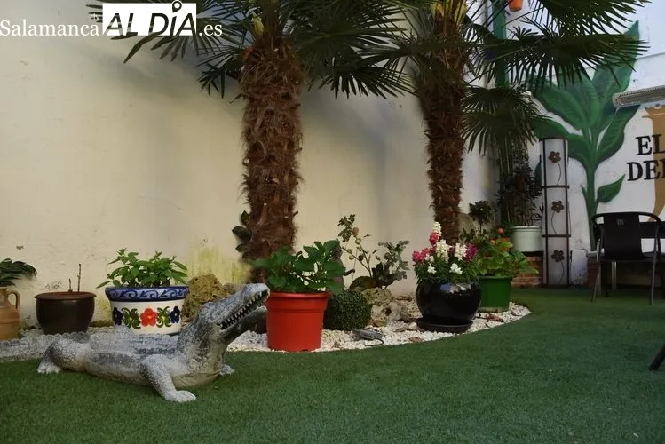 El Jardín del Virrey, privacidad y exclusividad en una terraza única en Salamanca | FOTOS: Vanesa Martins 