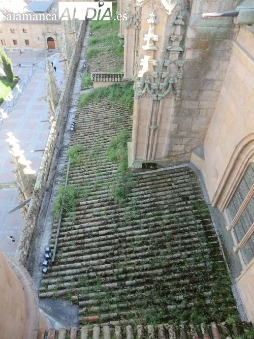 Torres del Ieronimus | FOTOS: Perfil de X @ACDPatrimonio