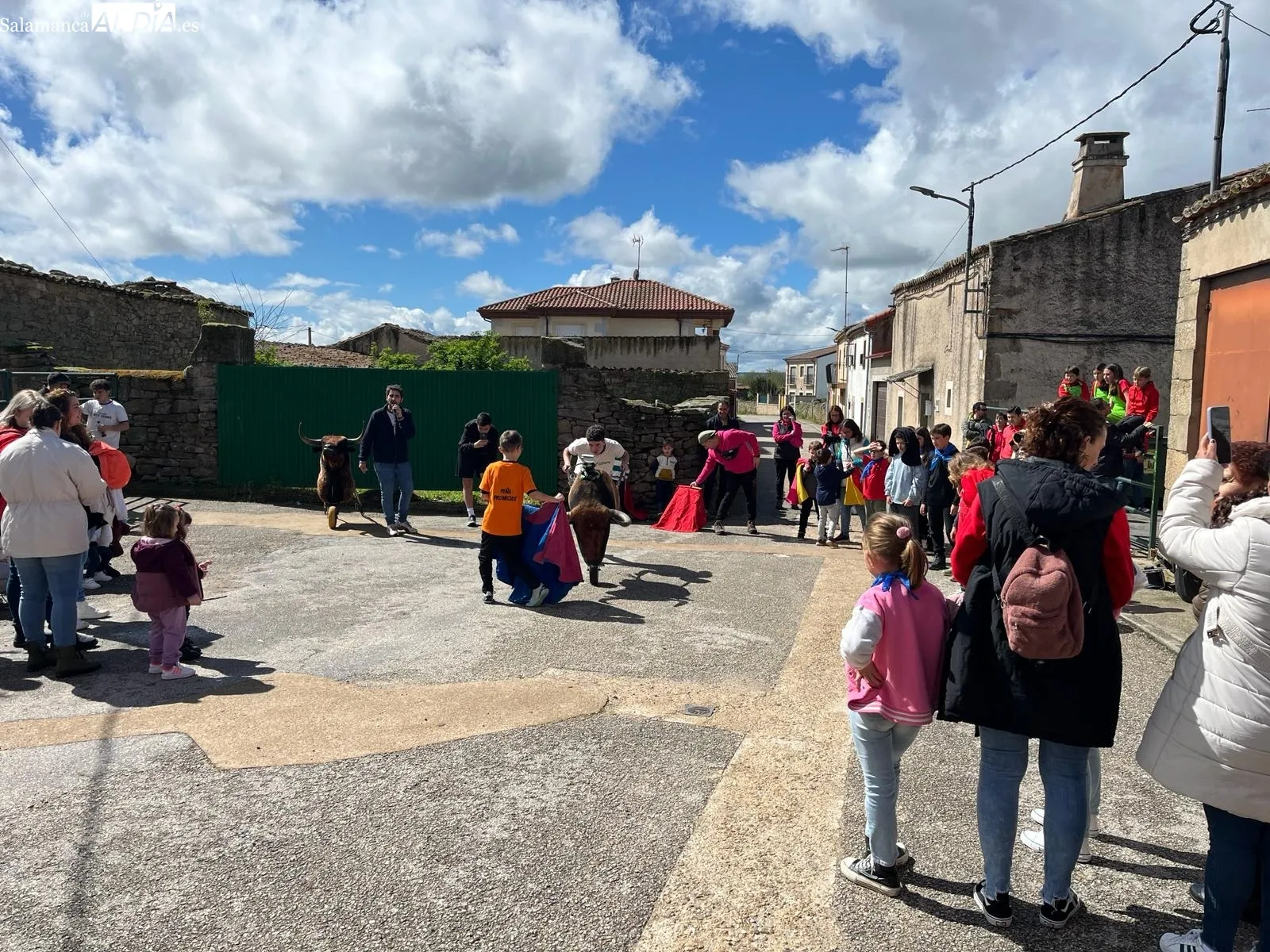 Divertido encierro de carretones en Yecla de Yeltes 