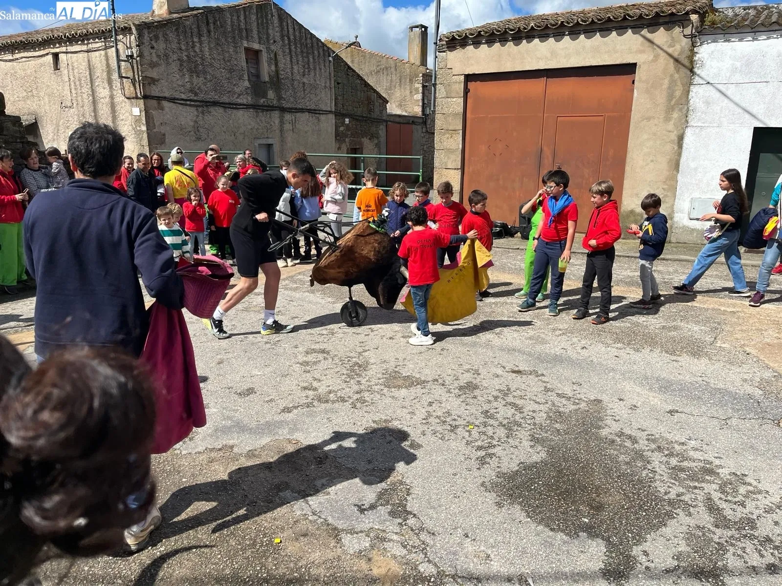 Divertido encierro de carretones en Yecla de Yeltes 