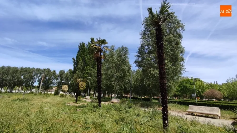 Foto 3 - Registrados a plena luz del d&iacute;a actos vand&aacute;licos en el parque del Regato Cach&oacute;n