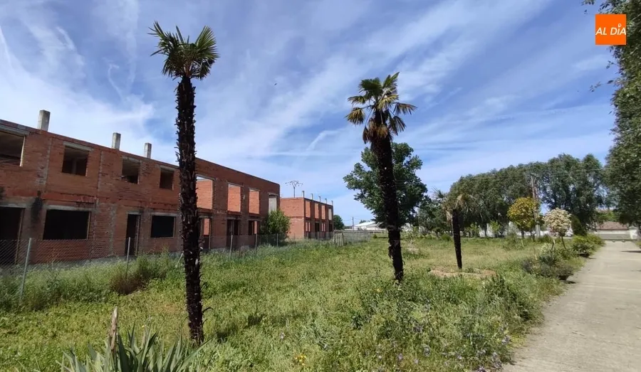 Foto 4 - Registrados a plena luz del d&iacute;a actos vand&aacute;licos en el parque del Regato Cach&oacute;n