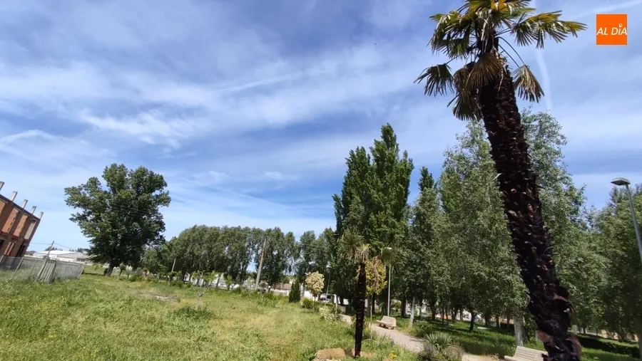 Foto 2 - Registrados a plena luz del d&iacute;a actos vand&aacute;licos en el parque del Regato Cach&oacute;n