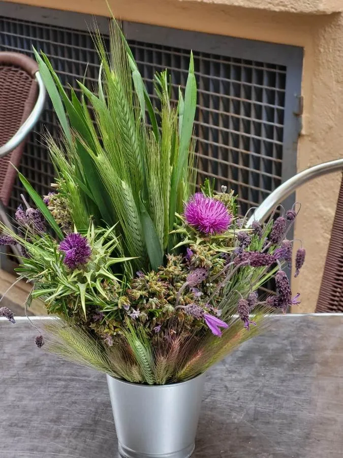 Foto 3 - Mir&oacute;briga &lsquo;abre la puerta&rsquo; a la primavera con molinillos, escobas o flores farinatas 