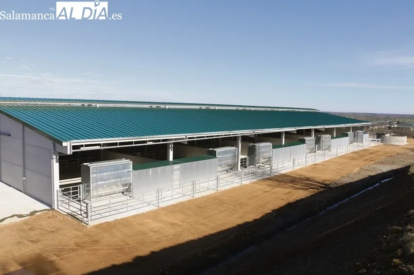 Nuevo cebadero de Dehesa Grande en Peralejos de Abajo / CORRAL