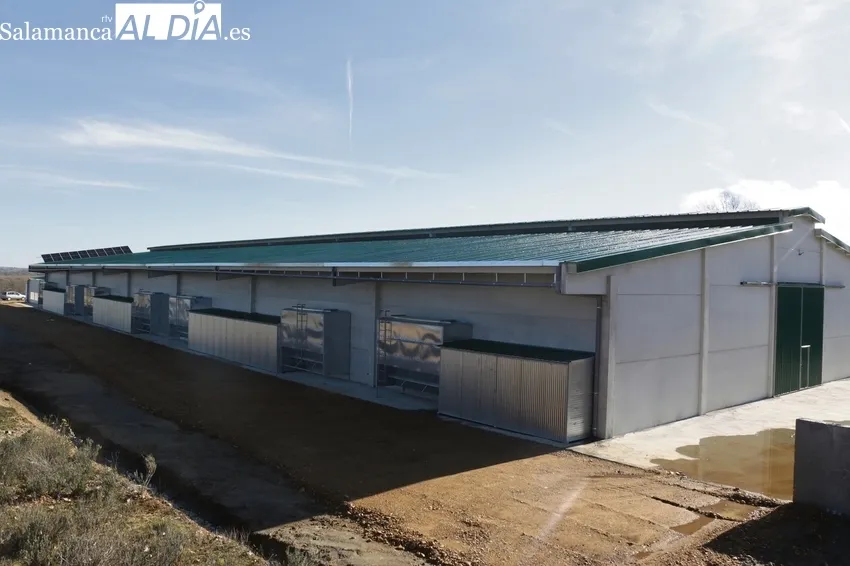 Nuevo cebadero de Dehesa Grande en Peralejos de Abajo / CORRAL