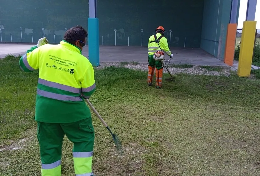 Foto 3 - Ocho desempleados participan en la AFE Alto &Aacute;gueda Verde II