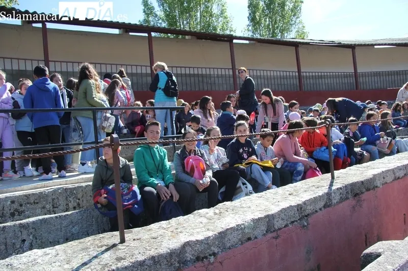 Exhibición de la Guardia Civil en Vitigudino para cercad e 900 escolares / CORRAL 