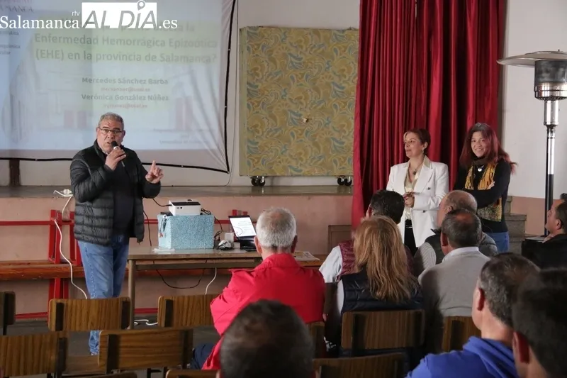 La USAL pide la colaboración de los ganaderos para realizar un estudio sobre la EHE / CORRAL