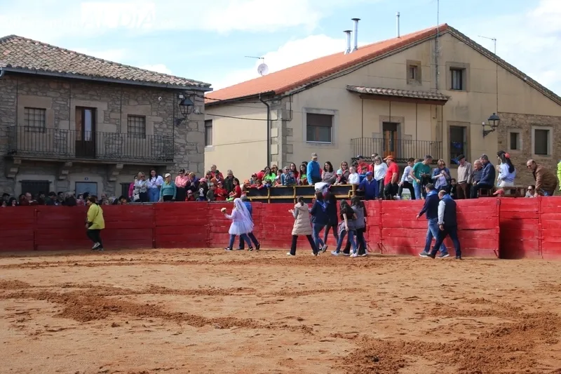 El público vibró con el espectáculo dado por los recortadores en Yecla de Yeltes / CORRAL 