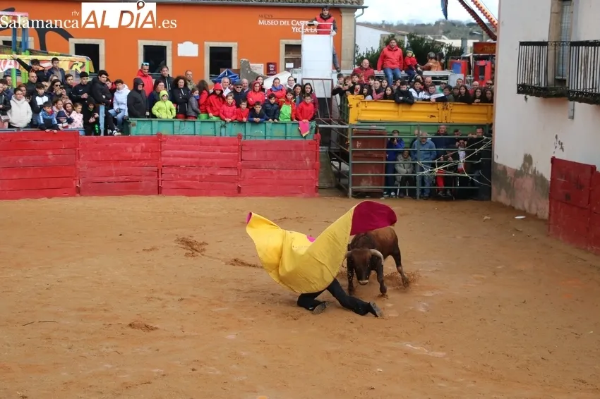 Triunfo de Álvaro Briones en la case práctica celebrada en Yecla de Yeltes / CORRAL 