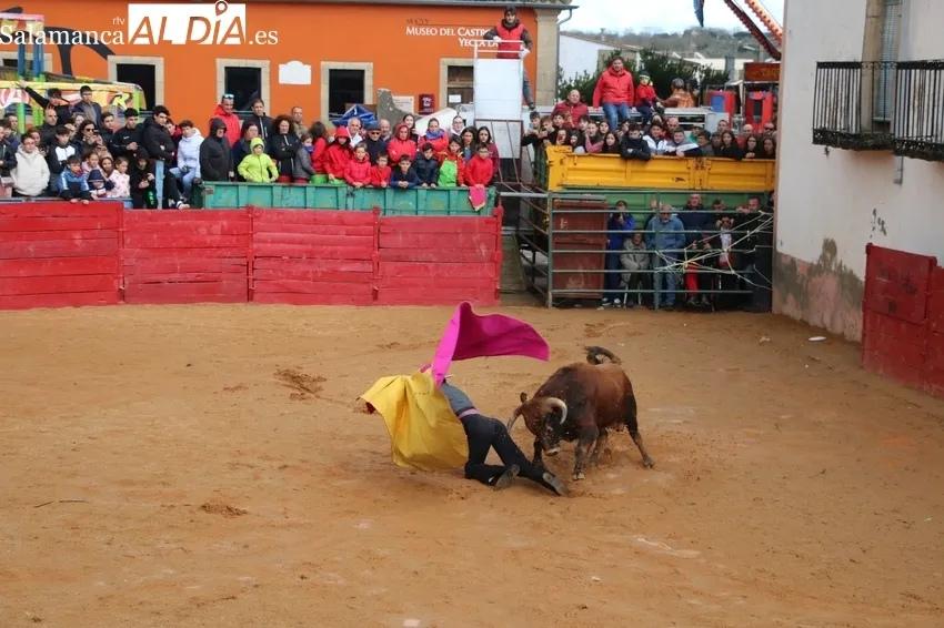 Triunfo de Álvaro Briones en la case práctica celebrada en Yecla de Yeltes / CORRAL 