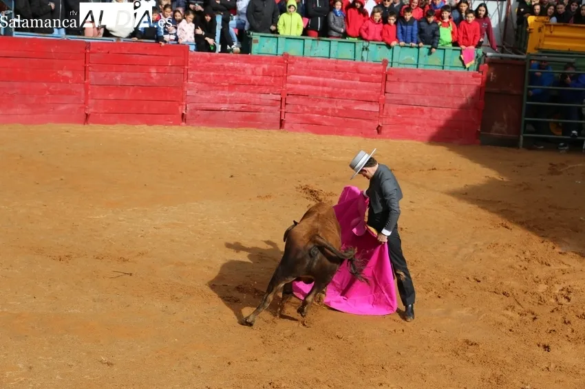 Triunfo de Álvaro Briones en la case práctica celebrada en Yecla de Yeltes / CORRAL 