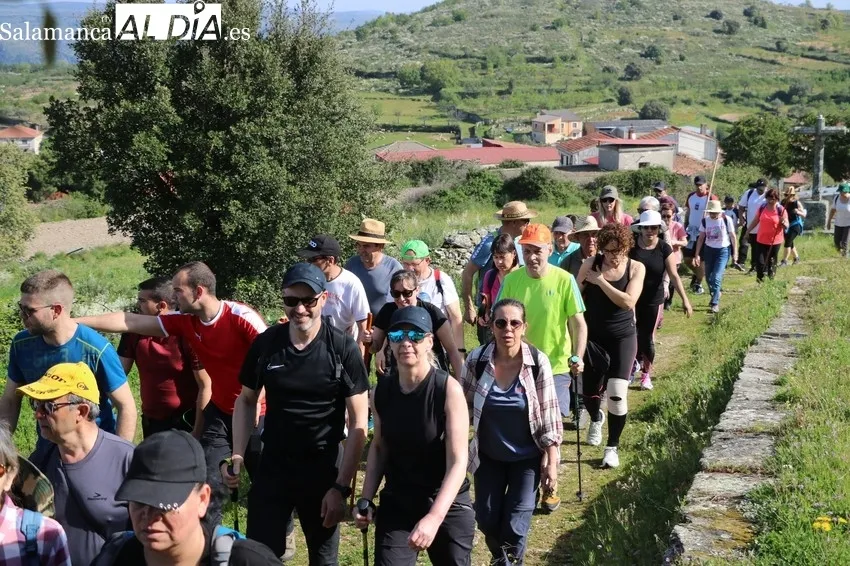Excelente afluencia de senderistas a la XXVII Ruta de Senderismo ‘Arribes del Duero’ en Mieza / CORRAL