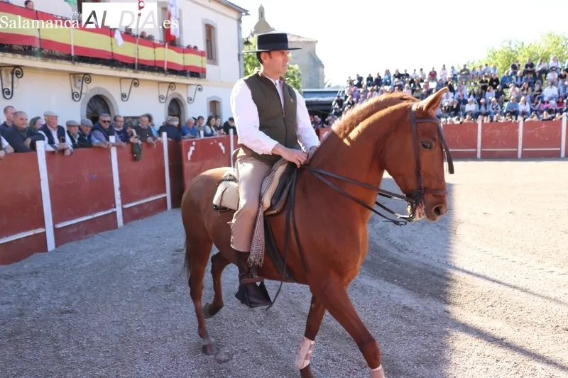 Entretenida tarde taurina en Olmedo de Camaces / CORRAL 